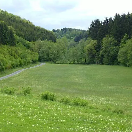 Haus Oberkirchen Naehe Winterberg Skiliftkarussell