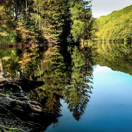 Apartment Haus Oberkirchen Nähe Winterberg Bis 20 P Schmallenberg