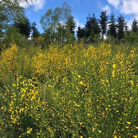 Haus Oberkirchen Nähe Winterberg Bis 20 P Apartment