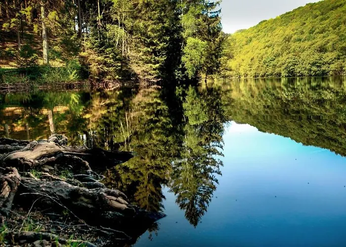 Apartamento Haus Oberkirchen Naehe Winterberg Bis 20 P Schmallenberg