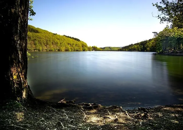 Haus Oberkirchen Naehe Winterberg Bis 20 P * Schmallenberg
