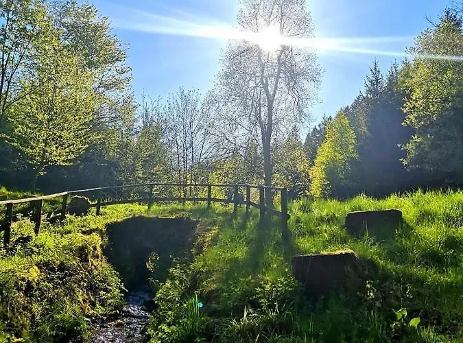 Haus Oberkirchen Naehe Winterberg Bis 20 P Appartement *