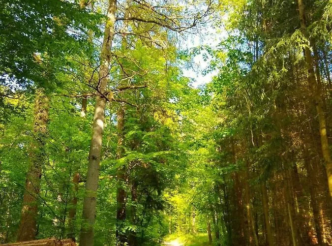 Apartamento Haus Oberkirchen Naehe Winterberg Bis 20 P Schmallenberg